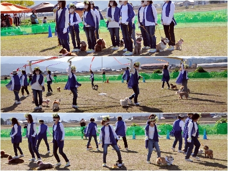 20201025ritoru.jpg