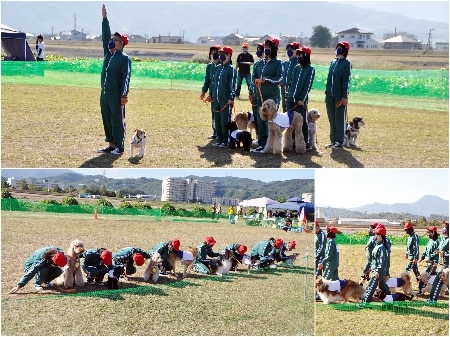 20201025saijo.jpg