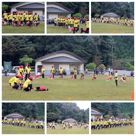 i20151012imabari1.jpg
